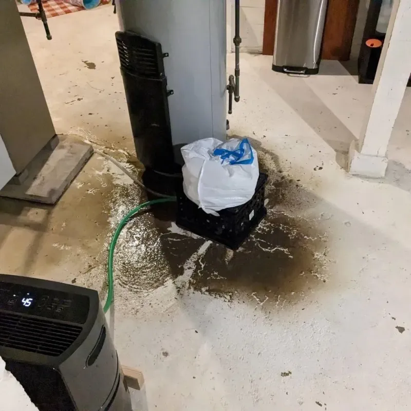 Sewage Backup Cleanup Service in Thermalito, CA